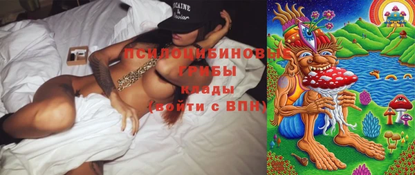 скорость Абаза